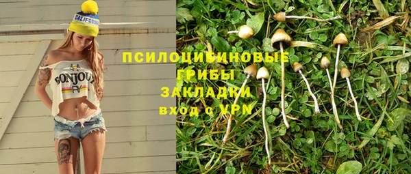 стаф Красноперекопск