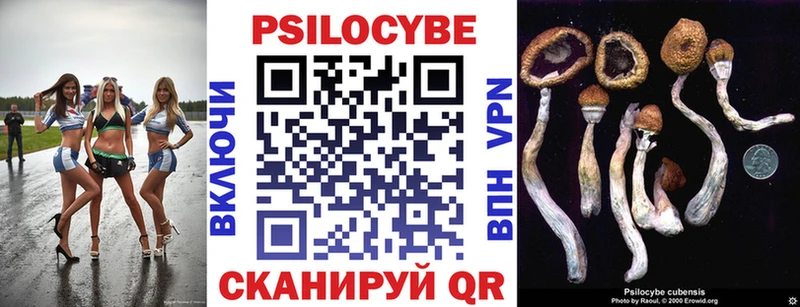 Псилоцибиновые грибы MAGIC MUSHROOMS  купить наркотики сайты  Цивильск 